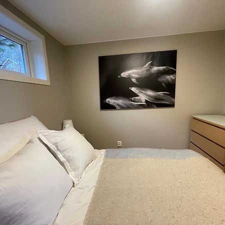 Sørvågen A, The Far End Of Lofoten, Top Apartment. מראה חיצוני תמונה