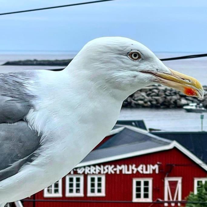 Sørvågen A, The Far End Of Lofoten, Top Apartment. מראה חיצוני תמונה